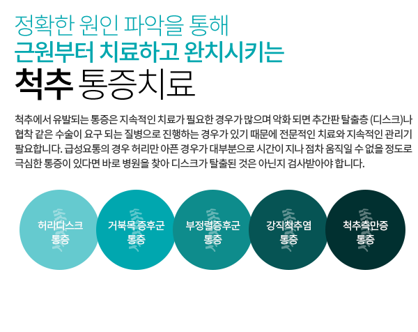 척추통증치료