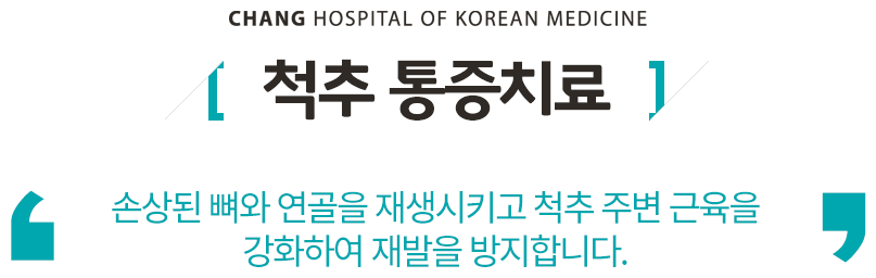 척추통증치료
